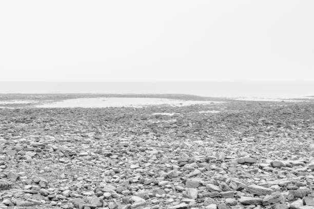 Whitley Bay, UK. St Mary's lighthouse causeway showing rocks  in the foreground.  This image was taken with a 10 stop ND filter over 2 minutes exposure.