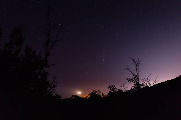istock Night star sky with Comet C/2020 NEOWISE and mountains with trees 1258008302