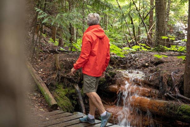 istock Man walks over boardwalk through lush green forest 1258009075