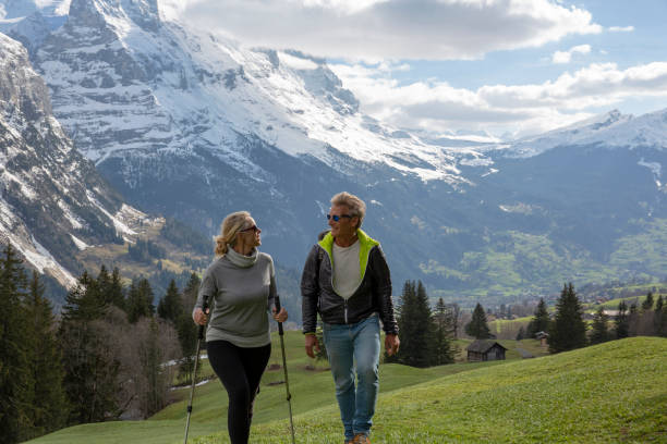 Swiss alps in background