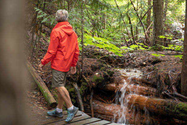 istock Man walks over boardwalk through lush green forest 1258010590