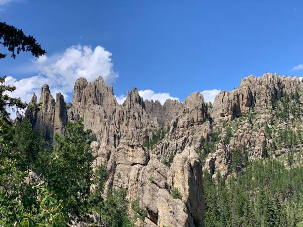 istock Needles in the Black Hills 1258011520