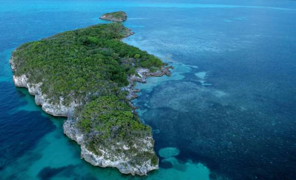 istock Island in the Bahamas 1258012489