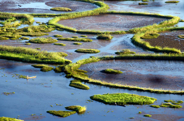 istock loktak lake aerial view from sunset point 1258015921