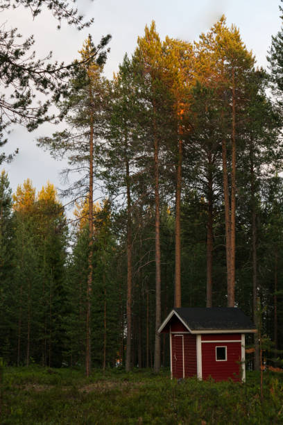 istock Little house in Finland 1258019518