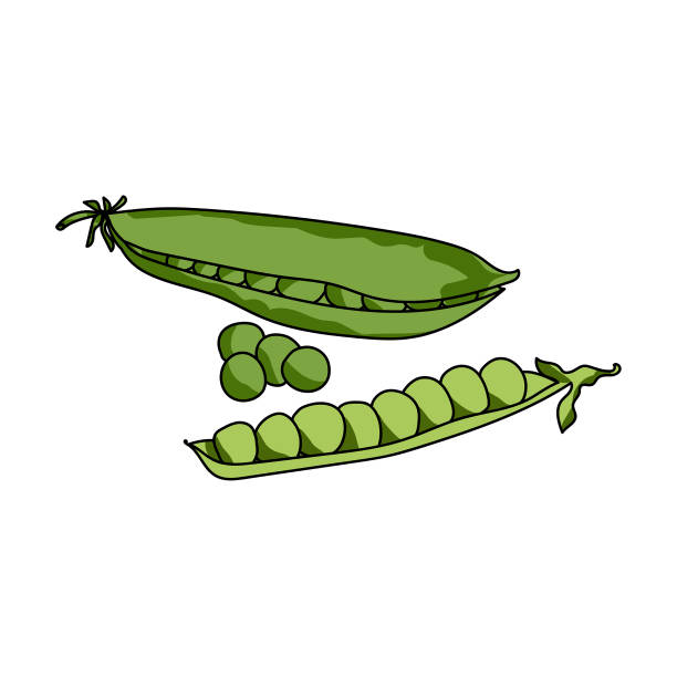 Cartoon Of Green Peas Stock Photos, Pictures & Royalty-Free Images - iStock