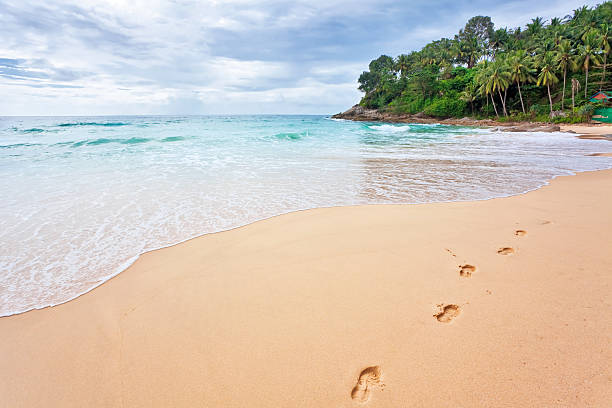 istock Beautiful tropical beach under gloomy sky. 125802333