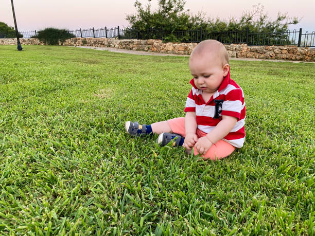 istock Baby boy playing in park on grass 1258023859