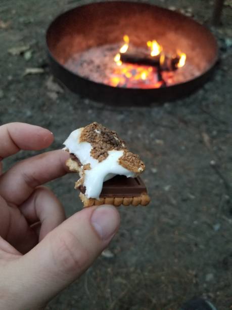 istock Roasted marshmallow on chocolate cookies 1258024075