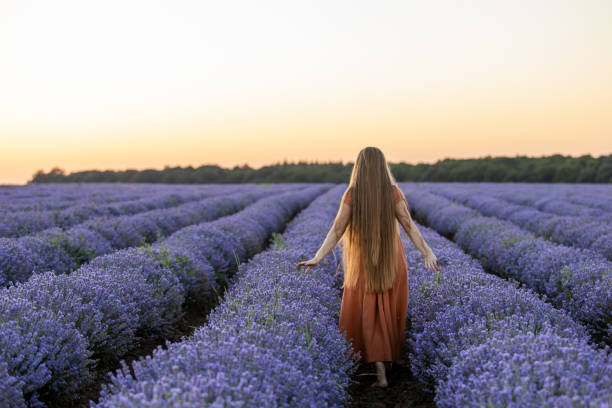 istock A woman among lavender flowers at sunset. 1258024897