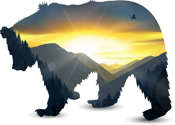 ilustrações de stock, clip art, desenhos animados e ícones de silhouette of running bear - night running