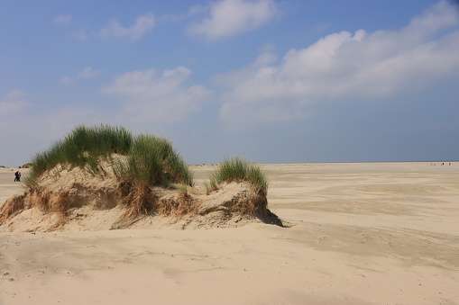 Dunes in the Słowiński National Park. Northern Poland. Baltic Sea. Path in the Dunes. Pole with a rope.