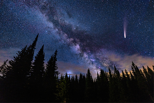 NEOWISE Comet in Night Sky with Milky Way Galaxy - Bright rare comet in dark sky with crisp bold Milky Way Galaxy and silhouetted trees mountain astrophotography landscape. Very dark skies perfect for stargazing.
