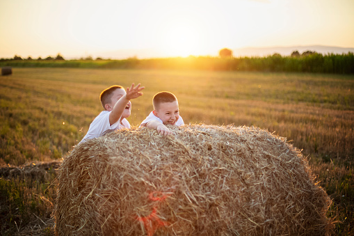 Boys playing on a haystack in a countryside