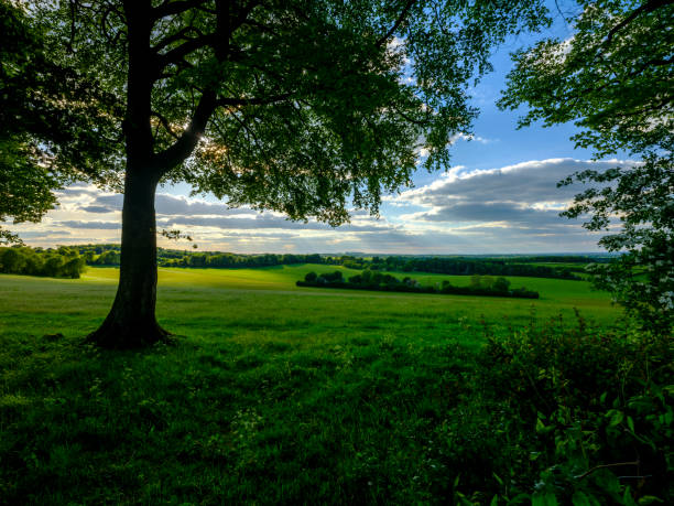 istock View from Wheely Down near Warnford in the Meon Valley 1258034938