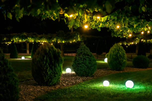 istock illumination backyard light garden with electric ground sphere lantern with stone mulch and thuja bush in outdoor landscaping park with garland of warm light bulbs, dark illuminate night scene nobody. 1258037302