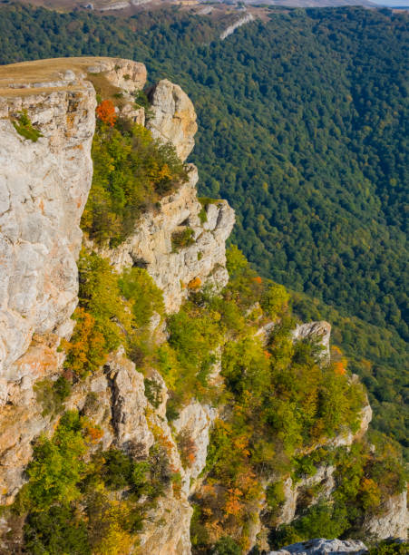 istock closeup mount slope above a green forest, natural background 1258038026