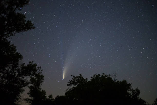 istock Comet NEOWISE on a night sky above a forest silhouette, night outdoor scene 1258038109
