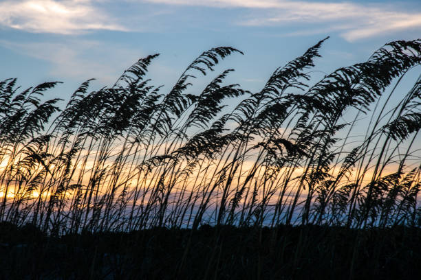 Sunset at Pawleys Island stock photo