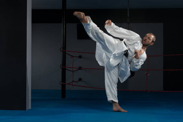 istock Black Belt Karate Expert With Fight Stance 1258044018