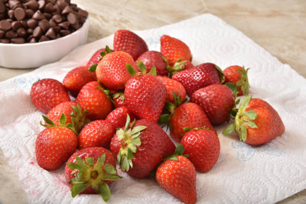erdbeeren trocknen auf einem papiertuch neben einer schüssel mit schokoladenchips - washing fruit preparing food strawberry stock-fotos und bilder