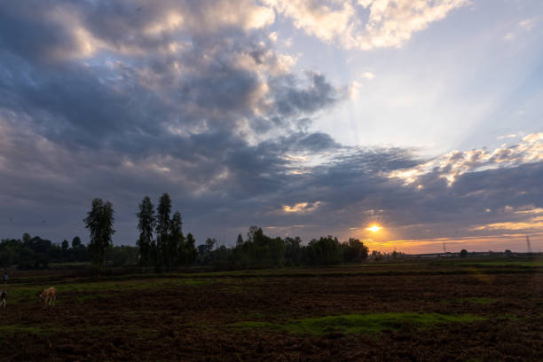istock Natural sunsets over Bright Dramatic Sky and dark ground. Rural scenery under the colorful sky at sunset. 1258052178