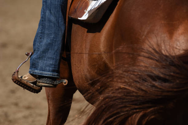 istock Horseback Rider With Booted Foot in Stirrup 1258057208