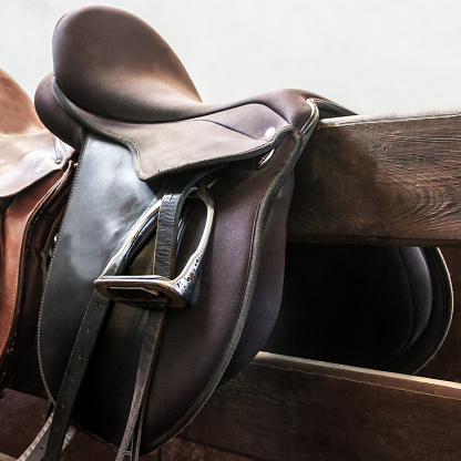 The stirrup in equestrianism is a device that provides the rider with a secure foothold for the feet while riding a horse. It helps to maintain stability and correct position, allowing effective communication with the horse and improving the rider's balance.