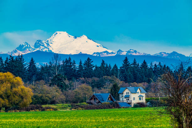 Farm Snowy Mount Baker Mountains Skagit Valley Washington