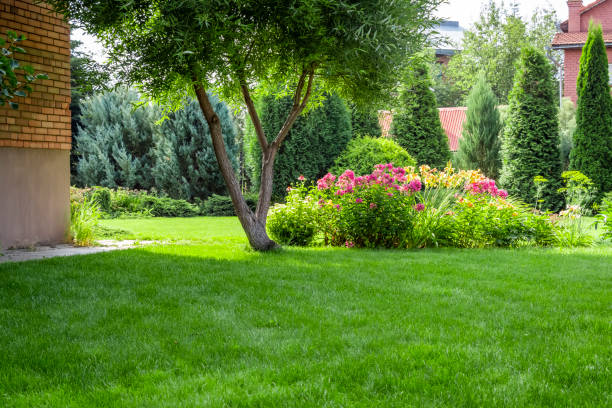 Colorful flower garden