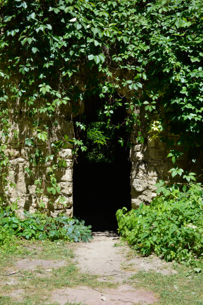 istock entrance to the destroyed building 1258077294
