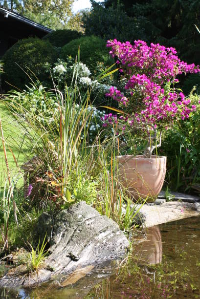 istock Garden pond with decoration 1258078218