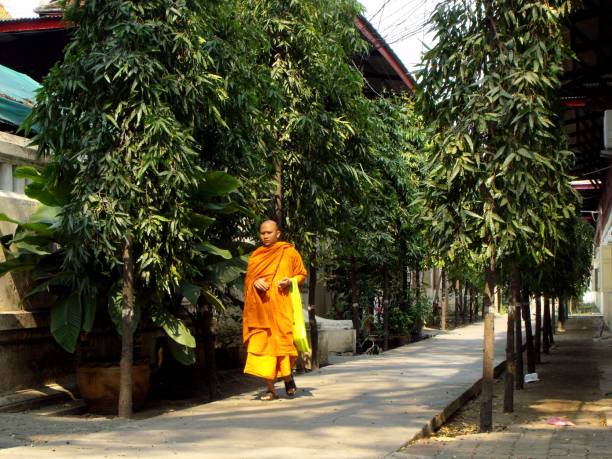 monje budista camina a través de una calle tranquila en bangkok, tailandia. - monk meditating thailand bangkok fotografías e imágenes de stock