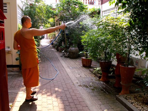 仏教僧はタイのバンコクの寺院で植物に水をやる。 - monk meditating thailand bangkok ストックフォトと画像