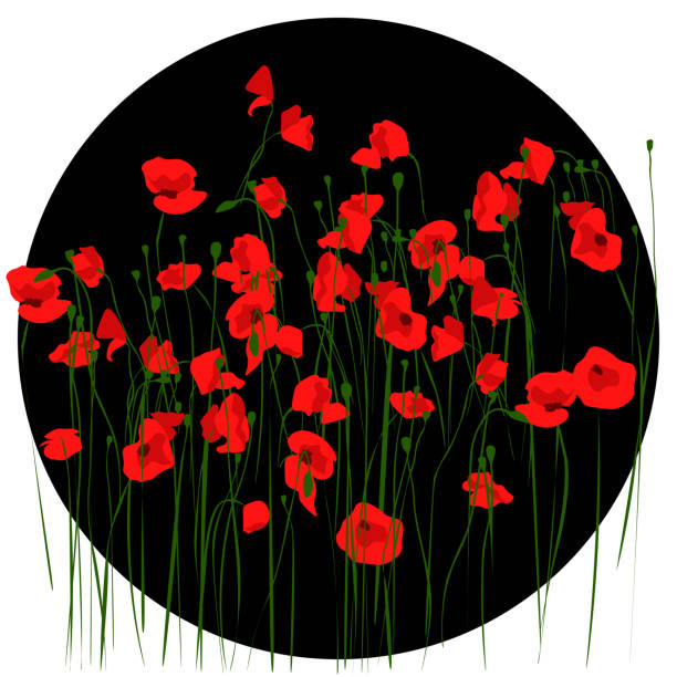 ilustrações de stock, clip art, desenhos animados e ícones de black circle with red poppies - stem poppy fragility flower