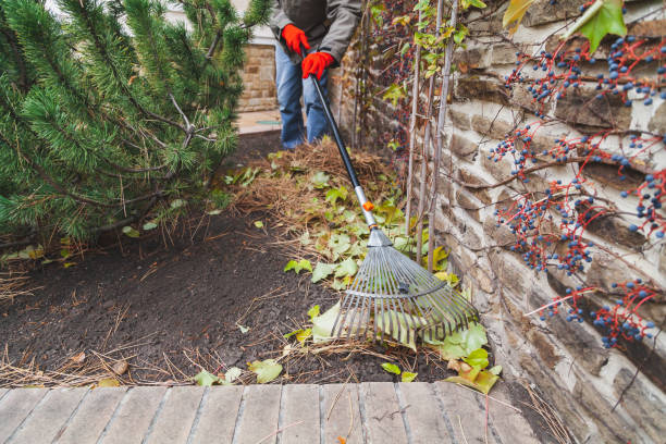 istock Gardener collects fallen leaves by long rake 1258084432