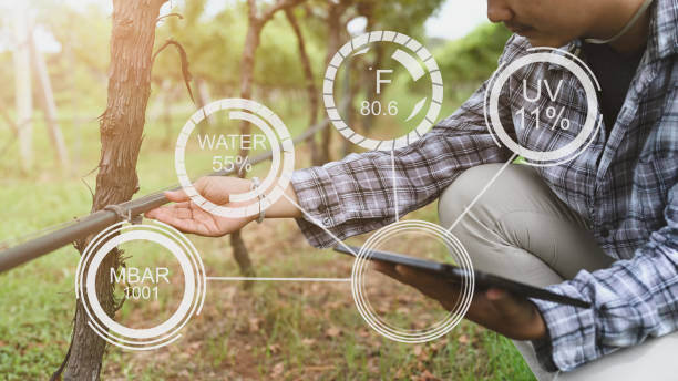 istock Cropped image of a farmer holding a computer tablet with a visual icon on the screen over orchard as background. 1258086205