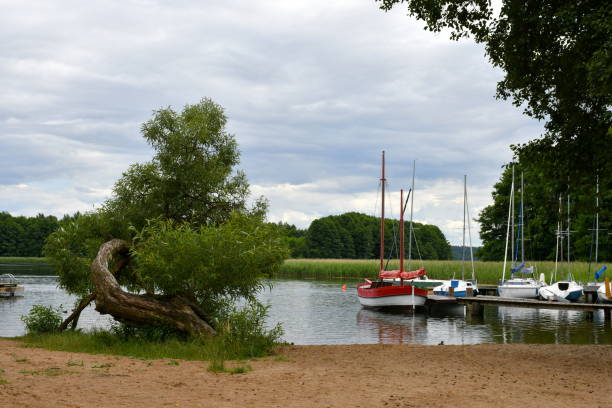 une vue d’une petite plage de sable située à côté d’une vaste rivière encore peu profonde ou un lac avec quelques bateaux à passagers garés à proximité et un grand arbre de conifères de plus en plus à côté du bord de la plage vu en pologne - waters edge lake beach tree photos et images de collection