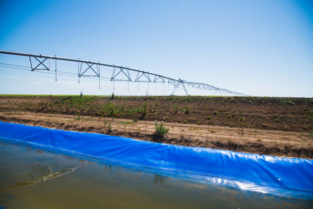 istock Modern agricultural irrigation system spraying in field 1258095410