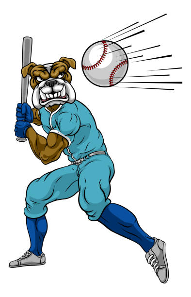 бульдог бейсболист талисман размахивая летучая мышь - baseball player baseball holding bat stock illustrations