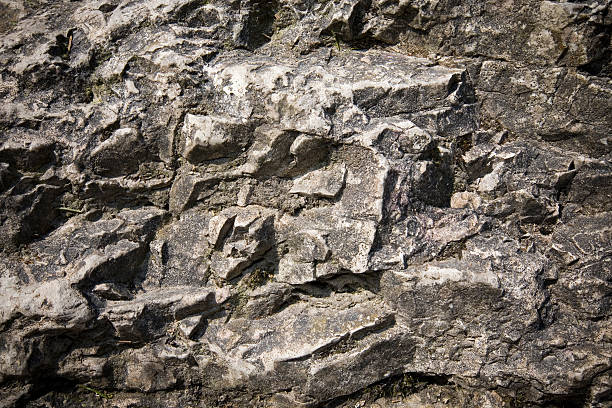 Background texture detailed rocks surface boulder rock photos stock pictures, royalty-free photos & images