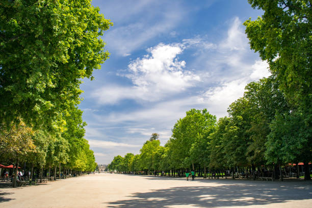 istock The Tuileries, Paris 1258099597