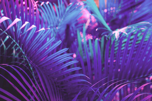 istock Neon colored palm tree leaves. Tropical trees background 1258099779