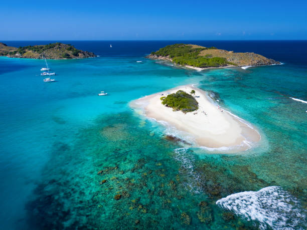 istock Aerial view of Sandy Spit, British Virgin Islands 1258101703