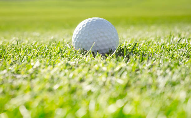 istock Golf course with a golf ball in green grass in a soft focus, vivid colors. 1258104045