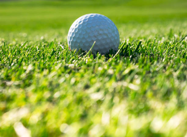 istock Golf course with a golf ball in green grass in a soft focus. 1258104054