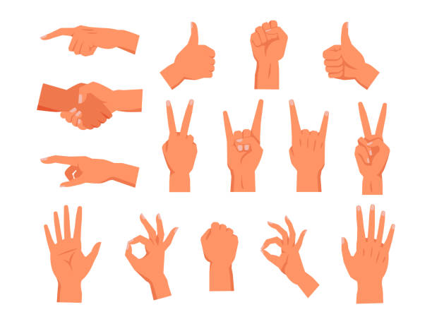 zestaw wektorowego gestu dłoni. niewerbalny symbol dłoni. zaciśnięty lub podniesiony pięść, palec wskazujący lub dotykać, kciuk w górę, uścisk dłoni, znak rogów lub skały, wysoka piątka, zwycięstwo lub spokój, ok, dobrze. ludzkie gesty - hand sign peace sign palm human hand stock illustrations
