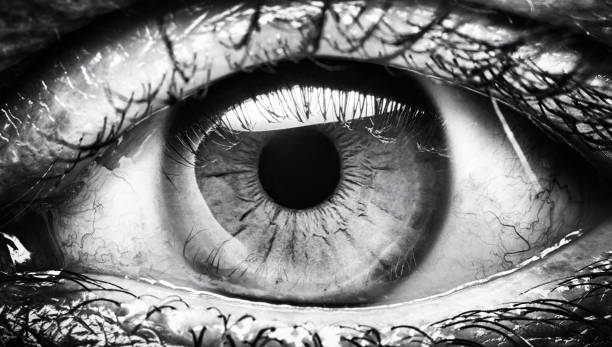 Eye, black and white art Woman eye iris eye photos stock pictures, royalty-free photos & images