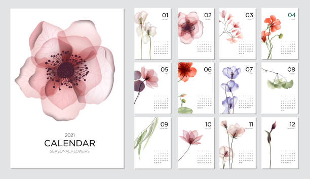 2021 calendar template on a botanical theme. Calendar design concept with abstract seasonal flowers. Set of 12 months 2021 pages. Vector illustration nature calendar stock illustrations