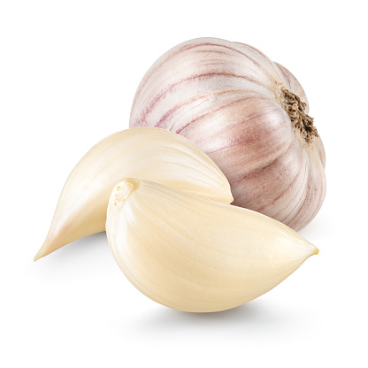 Garlic bulb and clove isolated. Garlic on white background. Garlic bulb, clove closeup.